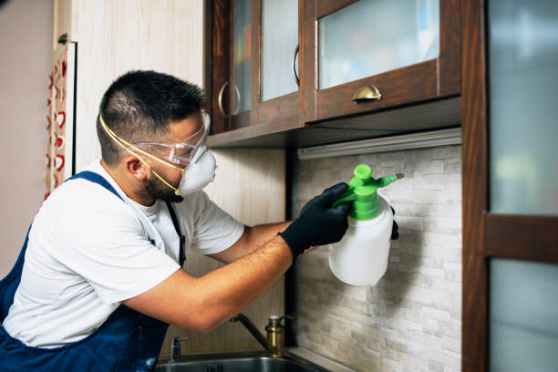 Best Pest Removal Services  in Herlong, CA