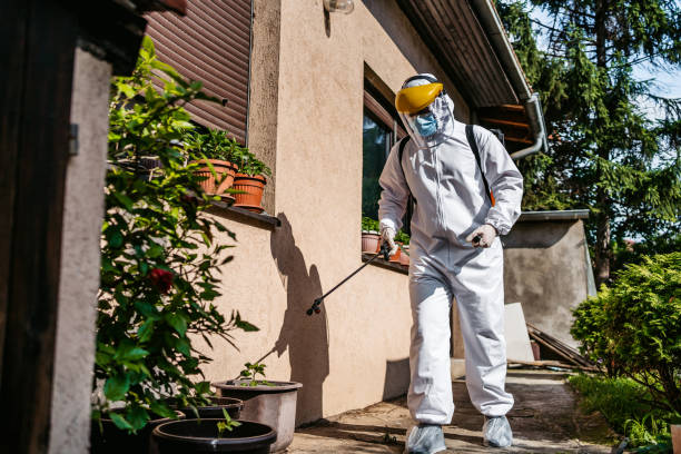 Best Exterminator Services  in Herlong, CA