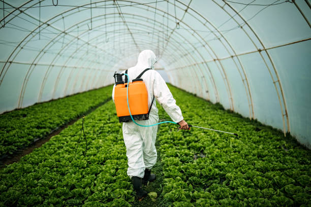 Best Pest Control for Businesses  in Herlong, CA