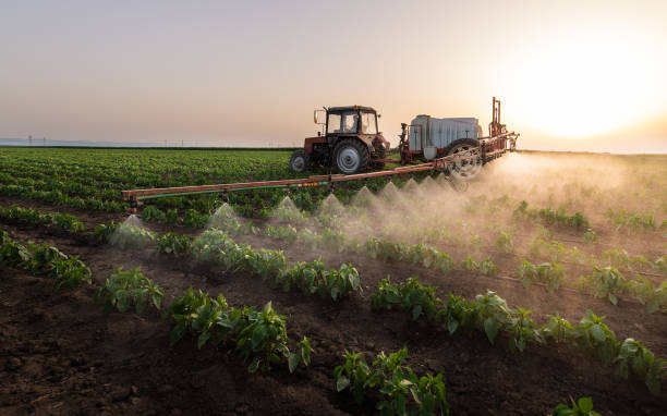 Best Wildlife Control Services  in Herlong, CA