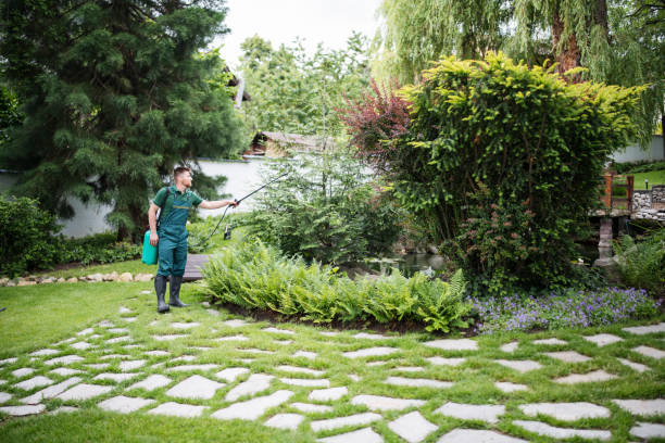 Professional Pest Control in Herlong, CA