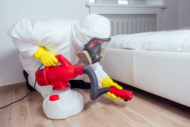 Insect Control in Herlong, CA