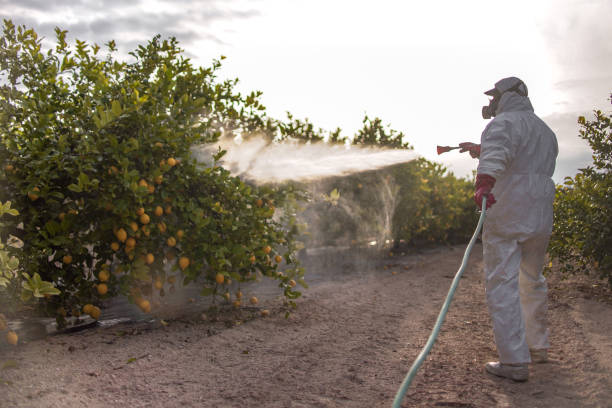Best Affordable Exterminators  in Herlong, CA