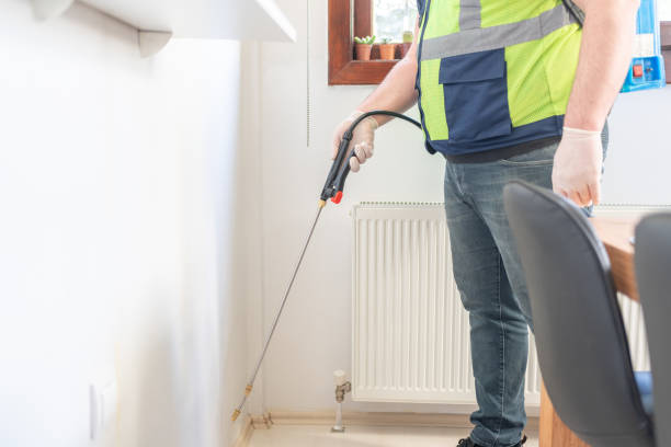 Best Local Pest Control Services  in Herlong, CA