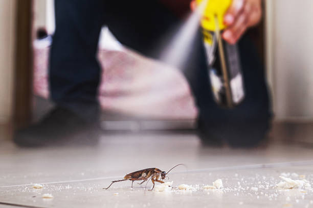 Best Affordable Pest Control Services  in Herlong, CA