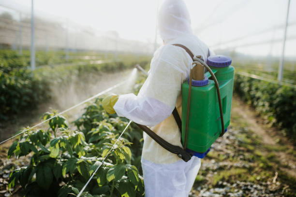 Best Pest Inspection Near Me  in Herlong, CA